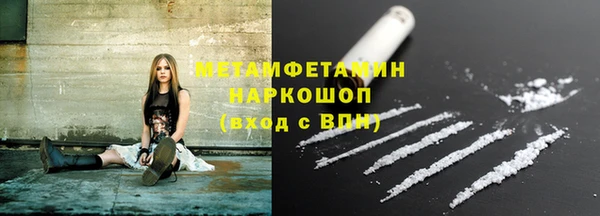 сатива Заволжье