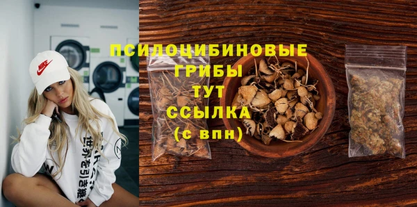 гидра Зеленокумск