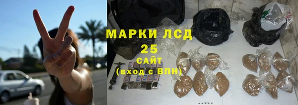 сатива Заволжье