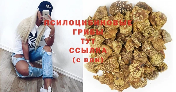 мет Ельня