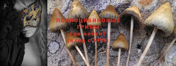 амфетамин Елабуга