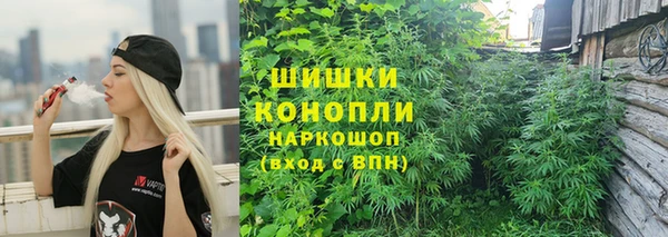 сатива Заволжье