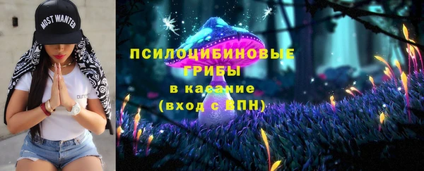 ГАЛЛЮЦИНОГЕННЫЕ ГРИБЫ Сосновоборск