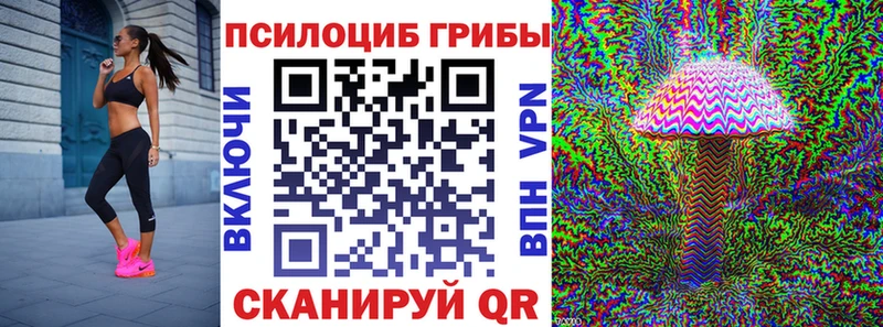 Псилоцибиновые грибы мицелий  где продают   Кызыл 